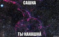 сашка ты какашка