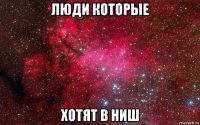 люди которые хотят в ниш