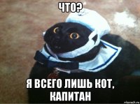 что? я всего лишь кот, капитан
