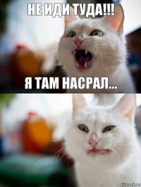 НЕ иди туда!!! Я там насрал...