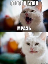 отволи бляя мразь