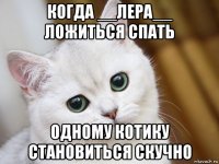 когда __лера__ ложиться спать одному котику становиться скучно