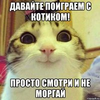 давайте поиграем с котиком! просто смотри и не моргай