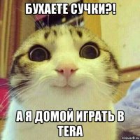 бухаете сучки?! а я домой играть в tera