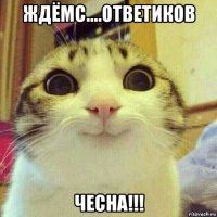 ждёмс....ответиков чесна!!!