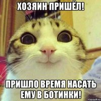 хозяин пришёл! пришло время насать ему в ботинки!