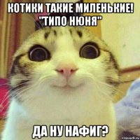 котики такие миленькие! "типо нюня" да ну нафиг?