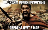чо сидим волки позорные обратка дует ё-мае