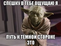 спешку в тебе ощущаю я путь к тёмной стороне это