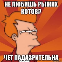 не любишь рыжих котов? чет падазрительна