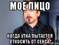 мое лицо когда утка пытается откосить от секса