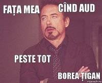 Faţa mea cînd aud     Peste tot Borea Ţigan  