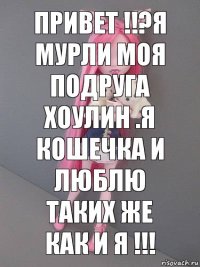 Привет !!?я мурли моя подруга хоулин .я кошечка и люблю таких же как и я !!!