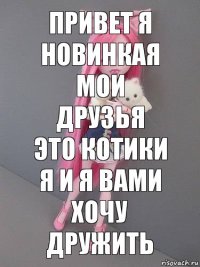 ПРИВЕТ Я НОВИНКАЯ МОИ ДРУЗЬЯ ЭТО КОТИКИ Я И Я ВАМИ ХОЧУ ДРУЖИТЬ