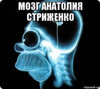 мозг анатолия стриженко 