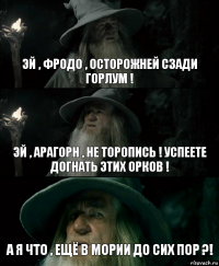 эй , фродо , осторожней сзади горлум ! эй , арагорн , не торопись ! успеете догнать этих орков ! а я что , ещё в мории до сих пор ?!