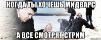 когда ты хочешь мидварс а все смотрят стрим