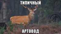 типичный артовод