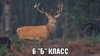  6 "б" класс