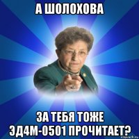 а шолохова за тебя тоже эд4м-0501 прочитает?