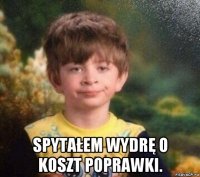  spytałem wydrę o koszt poprawki.