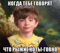 когда тебе говорят что рыжие коты-говно