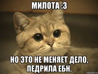 милота :3 но это не меняет дело, педрила ебн.