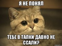 я не понял тебе в тапки давно не ссали?