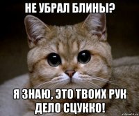 не убрал блины? я знаю, это твоих рук дело сцукко!