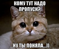 кому тут надо пропуск? ...ну ты поняла...))