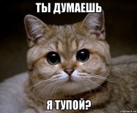 ты думаешь я тупой?