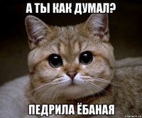 а ты как думал? педрила ёбаная