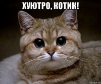 хуютро, котик! 