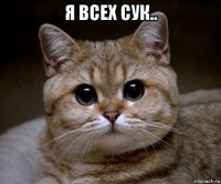 я всех сук.. 