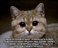  "жизнь на полную катушку! "-я люблю быть на виду! грациозная,как кошка! преданна лишь одному! говорите за спиною? значит вправду хороша!!! если быть-то королевой, а любить-так короля!!!