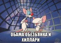  обама обезьянка и хиллари