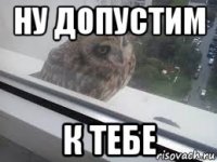 ну допустим к тебе