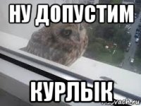 ну допустим курлык