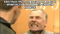 я все грызу, грызу, сержусь! вокруг мне все не нравится! это верная примета - скоро зуб появится! 