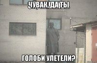 чувак, да ты голоби улетели?