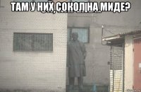 там у них сокол на миде? 