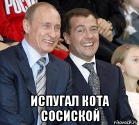  испугал кота сосиской