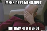 меня прет меня прет потому что я енот