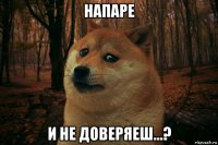 напаре и не доверяеш...?