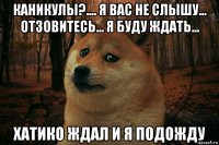 каникулы?.... я вас не слышу... отзовитесь... я буду ждать... хатико ждал и я подожду