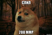 слил 200 ммр