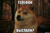 телефон выслали?