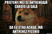 prietenii mei se antrenează cardio la sală da eu stau acasă.. mă antrenez picenio