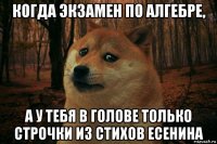 когда экзамен по алгебре, а у тебя в голове только строчки из стихов есенина