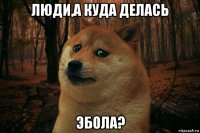 люди,а куда делась эбола?